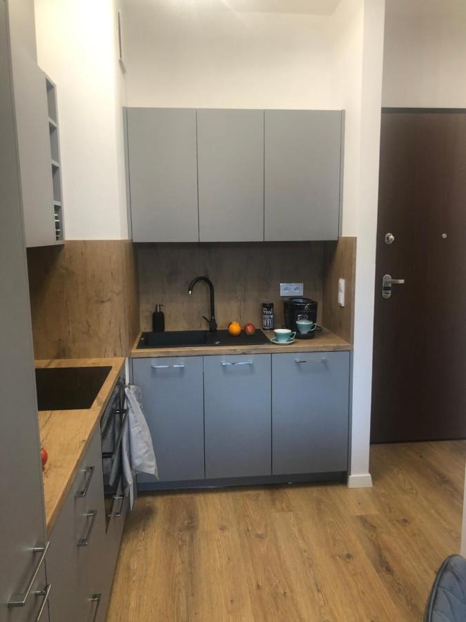 Central Point Apartament, Browary Warszawskie , Free Wifi, Fv Varşova Dış mekan fotoğraf